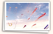 Kite Festivals, Ahmedabad